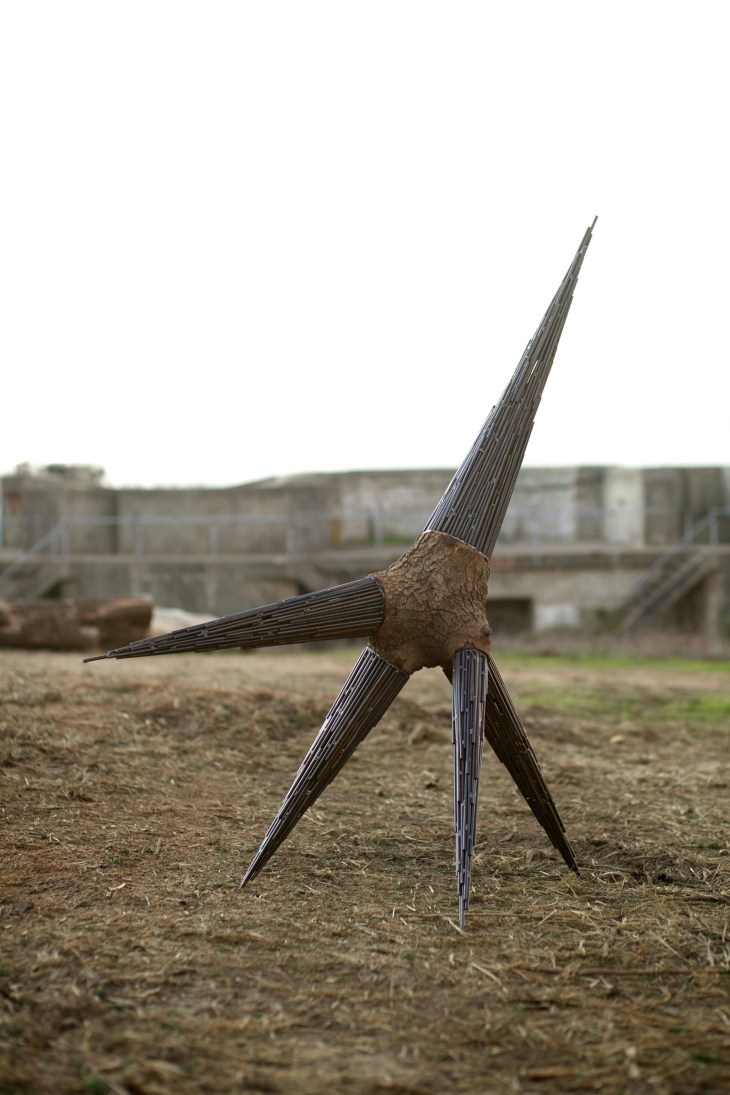 ASC-Projects_Mark-Baugh-Sasaki_Mutation_2011 | ASC Projects